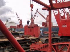 Stefania I and Manitowoc Cranes, October 25, 2008