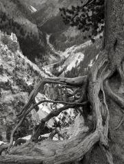 Yellowstone Canyon, July 20, 2002