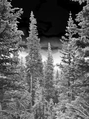 Rocky Mountain National Park, Colorado, September 8, 2006