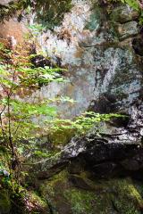 Deer Lick Cave, Brecksville Reservation, Ohio, October 5, 2019 a