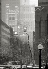 MoMA and Saint Thomas Church Fifth Avenue From Lou’s Café, February 7, 2003