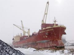 Federal Danube, Snowstorm December 2, 2005