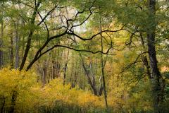 Deersville, Ohio, October 14, 2020