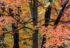 October 27, 2003 - 01578