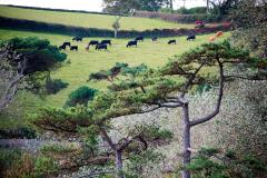 Blackpool Sands Beach, Dartmouth, South Devon, England, September 14, 2023