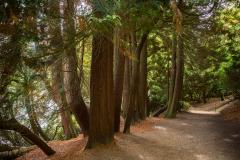 Stourhead, Wiltshire, England, October 5, 2022