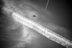 August 15, 2021 - 4651