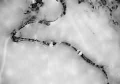 Snake Ice, March 3, 2018 - 2158