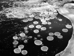 January 18, 2003 - 00954