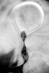 March 5, 2018 - 2351