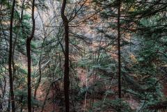 Bedford Reservation, Ohio, November 5, 2020