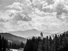 Shoshone National Forest, Wyoming, July 21, 2002